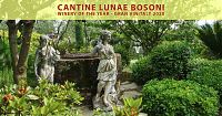 cantine lunae 2020