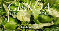 genoa mercato orientale basilico dop
