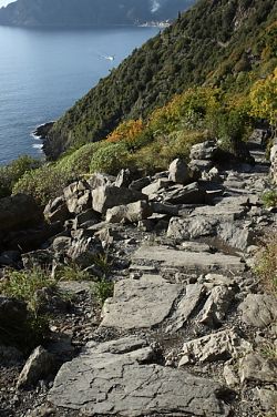 cinque terre hiking trail near corniglia